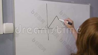 一个女人背着她站着，在白板上<strong>有货</strong>币和曲线图形的标志